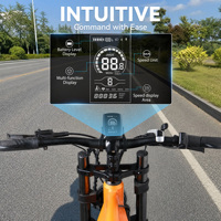 Tablero de repuesto YOLIN 80C-C para bicicleta eléctrica ENGWE ER-2 BOOST, pantalla completa a color VA, protocolo IP66 UART
