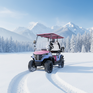 Voiturette de golf électrique 4 places, modèle <span class=keywords><strong>Club</strong></span> Car, avec technologie <span class=keywords><strong>Auto</strong></span> Follow Me, vitesse maximale de 30-50 km/h et autonomie de 90 km, livraison rapide - Product Image 1