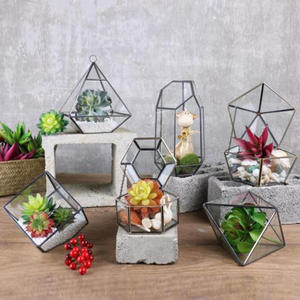 Terrario Colgante de Cristal, Moderno y Artístico, con Forma de Lágrima, Geométrico, Poliedro, Soporte para Plantas de Aire, Maceta de Escritorio, Florero DIY - Product Image 2