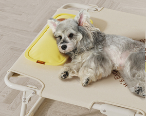 <strong>Pet</strong> <strong>Bed</strong> House and Tent for <strong>Dogs</strong> Cats - <strong>Washable</strong>, Portable Indoor Outdoor Use - Bulk Order Supplier - Product Image 4