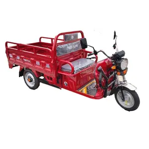 Good Quality Three Wheel Pedal Basket Adult 3 Electric Mining Tricycle Cargo Trimotorcycle Trike