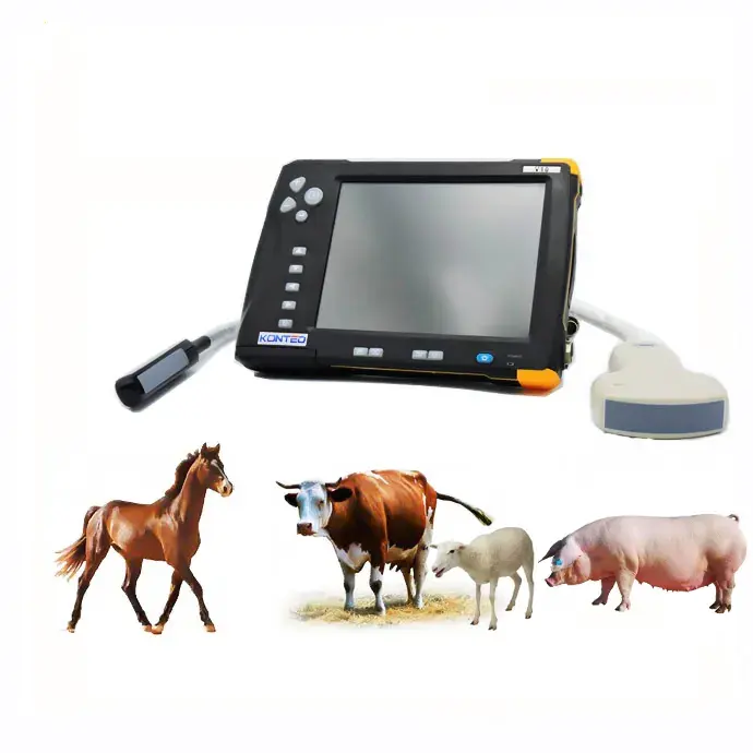 2024 yeni ürün hayvan B veteriner ultrason tarayıcı ultrasonik dedektör için domuz/koyun/köpek