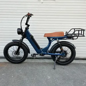 48V 500W 750W 1000W Power China Cheap Full Suspension Retro Vintage E Bike Ebike Dirt Mountain Fat Tire Bicycle Electric Bike