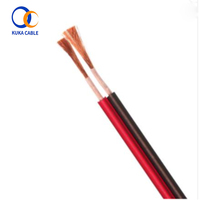 Cables Automotrices Planos de Doble Núcleo y Doble Cubierta de 3MM