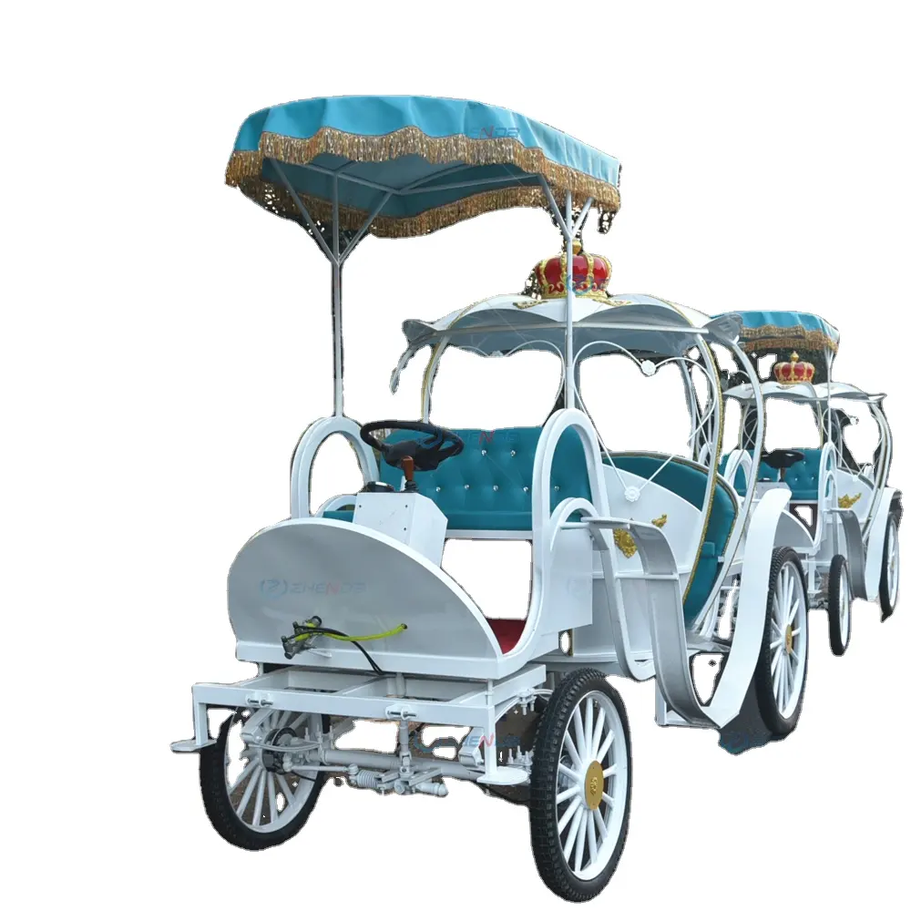 Blue Pumpkin Carriage Wedding Or Tourist Attraction Recreation Sightseeing horse Carriage With Canopy