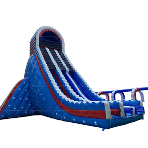 Château gonflable de glissière sèche de PVC pour des enfants pour des jeux de saut d'intérieur et extérieurs de toboggan et de videur - Product Image 4