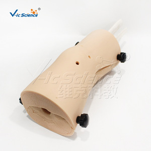 Modèle d'arthroscopie du genou ; Modèle pédagogique et de formation Vic Education - Product Image 1