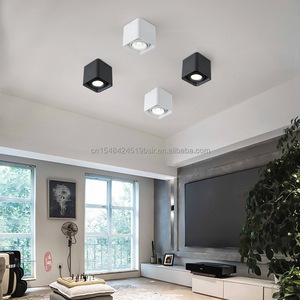 Modern 10/20/30W LED Cob Suspension Ceiling Downlight Surface Mounted Commercial Home Indoor White Black Aluminum for Hotels