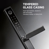 Cerradura para Puerta Corredera de Vidrio Templado y Aluminio para Exteriores, Impermeable, DQ12-S UIELOCK, Contraseña Digital, Tuya WiFi para la Nube