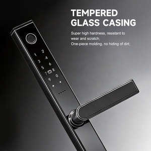 กุญแจล็อคประตูบานเลื่อนอลูมิเนียมกันน้ำสำหรับภายนอกอาคาร รุ่น DQ11 UIELOCK ระบบดิจิตอล รหัสผ่าน Tuya WiFi ไบโอเมตริกซ์ สแกนลายนิ้วมือ ระบบรักษาความปลอดภัยอัจฉริยะผ่านคลาวด์ - Product Image 3