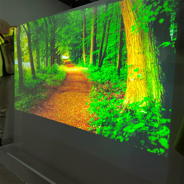High Contrast Rear Adhesive Projection Screen Film