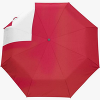 Paraguas Plegable Automático con Diseño de la Bandera de Argelia, Impresión Nítida de Alta Definición, Temática Nacional