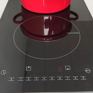 Cuisinière à induction 120V à 2 brûleurs avec boîtier en plastique pour le marché américain - Product Image 3