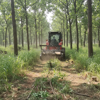 Peralatan Pemotong Hutan untuk Skid Steer Loader, Pemotong Semak Hutan, Pemotong Rumput Kebun