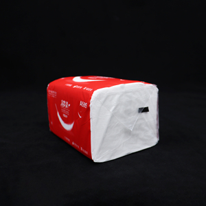 Bảo Vệ Môi Trường Giấy Vệ Sinh Cuộn Bao Bì Túi Vuông Dưới Tái Sử Dụng Cpp Chất Liệu Tùy Chỉnh Thiết Kế Mô Túi Giấy - Product Image 4