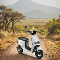 Scooter à deux roues en alliage d'aluminium amovible, étanche, certifié EEC COC CE 2025, batterie au lithium LFP 48V 20AH 800W 960Wh