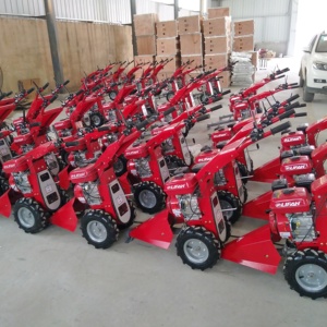Máy Cắt Thanh Hình Liềm Giá Rẻ Máy Cắt Cỏ Mini Chạy Xăng Máy Cắt Thanh Hình Liềm Máy Cắt Sau Lưng Đi Bộ - Product Image 6