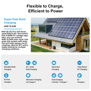Station d'alimentation solaire portable BLUETTI 300w 500w 700w 1000w 2000w, système d'alimentation solaire hors réseau 1kw 2kw 3kw 5kw, générateur domestique - Product Image 1