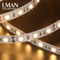 Éclairage décoratif pour projets, bande LED flexible personnalisée IP65 SMD 5050 60 LED/m, largeur 10 mm, DC12V 24V 10W, intérieur, dimmable