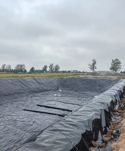 Géomembrane composite HDPE avec revêtement anti-infiltration en géotextile pour les décharges et les barrages - Product Image 1