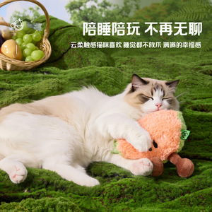 ของเล่นแมวรุ่นใหม่ รูปผลไม้แตงโม ของเล่นสร้างเสียงเพื่อความบันเทิงในตัวเอง ของเล่นแมว ของเล่นสุนัข ของเล่นทำความสะอาดฟัน - Product Image 3