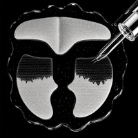 Patch quotidien respirant anti-rides pour le front et les joues au collagène soluble en nanofibres et peptides marins