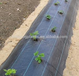 Cubierta de tierra tejida PP ecológica/Estera de malezas/Barrera para matar malezas - Product Image 6