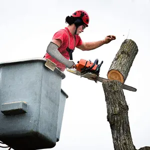 Manchons de sécurité résistants aux coupures pour une meilleure protection des mains