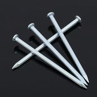 Polished Fine Steel Nails for Carpentry and Crafting, Small Size with Good Finish, Secure Fastening