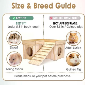 Tunnel d'habitation paysager en <span class=keywords><strong>bois</strong></span> de pin naturel pour cochon d'Inde <span class=keywords><strong>avec</strong></span> double étage et échelle, villa multi-pièces amovible pour hamster - Product Image 6