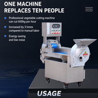 Fabrieksmodel dubbelkopige numeriek gestuurde snijmachine voor het snijden/versnipperen/blokjes snijden van fruit & groenten, hoge snelheid 600kg/uur, type 850