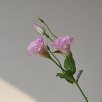 Fleur artificielle de gentiane de prairie Moon Yu pour la décoration de salon de mariage le jour de Noël