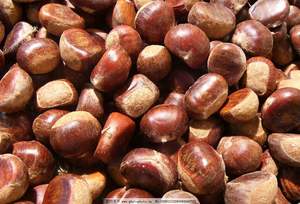 Vente en gros de châtaignes pelées biologiques fraîches <span class=keywords><strong>congelées</strong></span> châtaignes pelées faciles à cuire châtaignes surgelées - Product Image 4