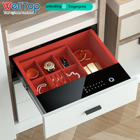 Armoire Métallique de Maison Moderne Personnalisée, Vente en Gros, avec Verrouillage par Empreinte Digitale, Compartiment Secret et Tiroir à Bijoux Caché