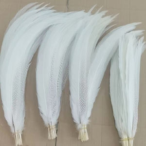 55-60cm plumes de faisan blanc plume de queue de faisan argenté pour Costumes de carnaval plumes masculines féminines pour décoration de scène - Product Image 1