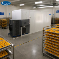 Veilige en betrouwbare fruitdroger, mango-droogmachine, kersendroogmachine te koop