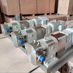 Pompes à <span class=keywords><strong>Nutella</strong></span> 25 kg/min Garantie d'un an Pompes à lobes à double couche <span class=keywords><strong>Pompe</strong></span> de transfert de chocolat - Product Image 2