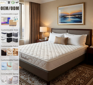 <span class=keywords><strong>Matelas</strong></span> Moderne Économique Compressé Sous Vide en Boîte Personnalisable OEM ODM Confortable <span class=keywords><strong>pour</strong></span> un Sommeil Réparateur – Taille Complète - Product Image 1
