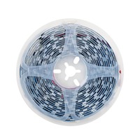 Bande LED adressable TM1814 5050 RGBW DC24V 12V 10mm CRI90 Magic Color SPI Paysage IP20 10 Pixel/m