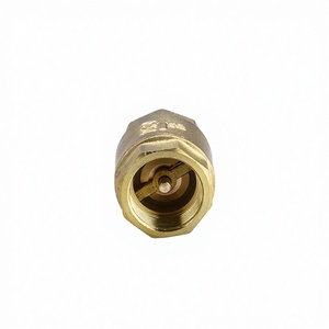 Vanne de retenue manuelle à ressort, résistante à la température de l'eau, avec noyau en laiton de 1/2 à 1 pouce, haute performance - Product Image 2