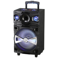 Altavoz de Karaoke Bluetooth con Micrófono, Bafle para Fiestas al Aire Libre, Altavoz de Karaoke de 12 Pulgadas con Micrófono y Bluetooth