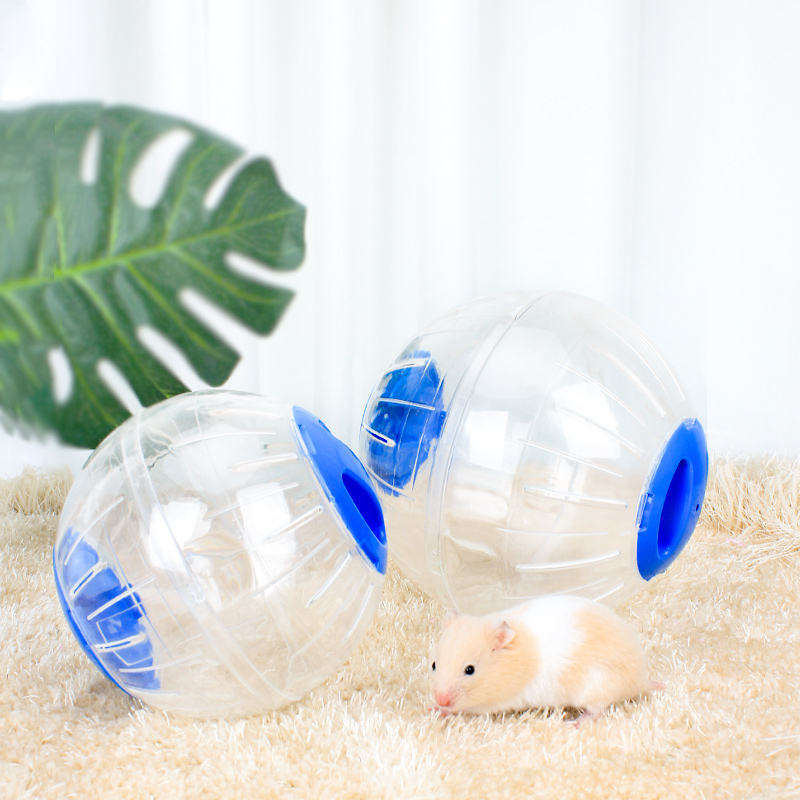 Palla Da Corsa A Forma Di Auto Per Criceti - Trasparente E Ventilata - 30x16x12 Cm - Gioco Sicuro Per Animali - Foto 10