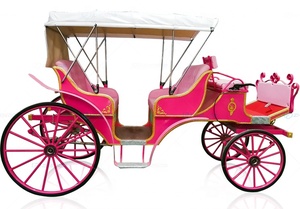Transport spécial pour le tourisme et les visites touristiques, calèche - Product Image 6