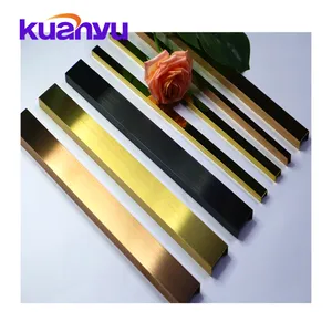 U Bentuk Sikat Stainless Steel Tepi Trim Hitam Logam Potong dengan Kaca untuk Pagar