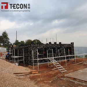 Tp60 điều chỉnh ván khuôn nhựa cho tường slab cột xây dựng xây dựng phong cách thiết kế hiện đại cho biệt thự - Product Image 3