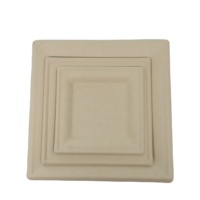 TEANHE Assiette rectangulaire jetable compostable en bagasse blanche naturelle de 6 pouces, certifiée LFGB, micro-ondable, personnalisable pour le camping