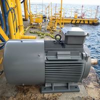 Générateur éolien à aimant permanent 10 kW IP54 étanche et anticorrosion pour utilisation en milieu marin isolé ou sur île