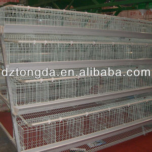 Cages à poules pondeuses en acier galvanisé, prix d'usine bon marché - Product Image 5
