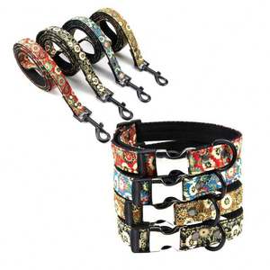 Correa de mano para mascotas, collar resistente al desgaste, cinta negra extraíble para gatos y perros - Product Image 1
