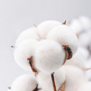 Kualitas tinggi 100% katun ukuran AS kaus pria 300 Gsm layar kustom cetak 3D uniseks kasual ukuran besar kaus cetak kosong - Product Image 3